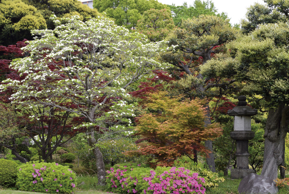 清澄庭園