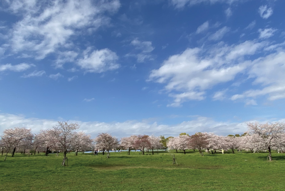 舎人公園