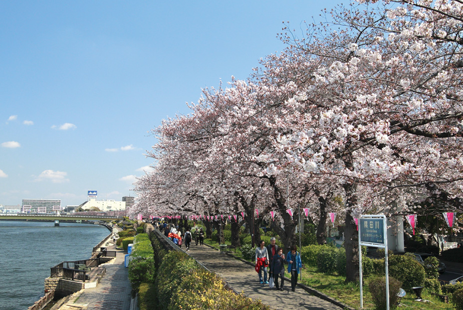 隅田公園