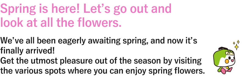 Spring is here! Let’s go out and look at all the flowers. We’ve all been eagerly awaiting spring, and now it’s finally arrived! Get the utmost pleasure out of the season by visiting the various spots where you can enjoy spring flowers.