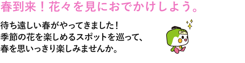 春到来！花々を見にお出かけしよう。待ち遠しい春がやってきました！季節の花を楽しめるスポットを巡って､春を思いっきり楽しみませんか。
