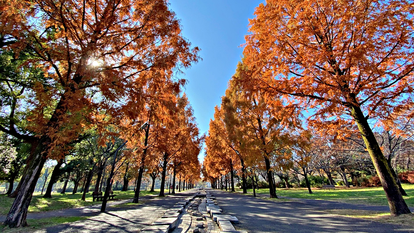 Toneri Park