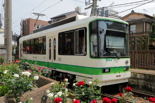 画像：8500形クロスシート車（8503、8504、8505）外観