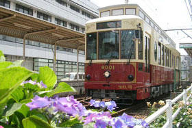 東京さくらトラム（都電荒川線） ｜ 東京都交通局